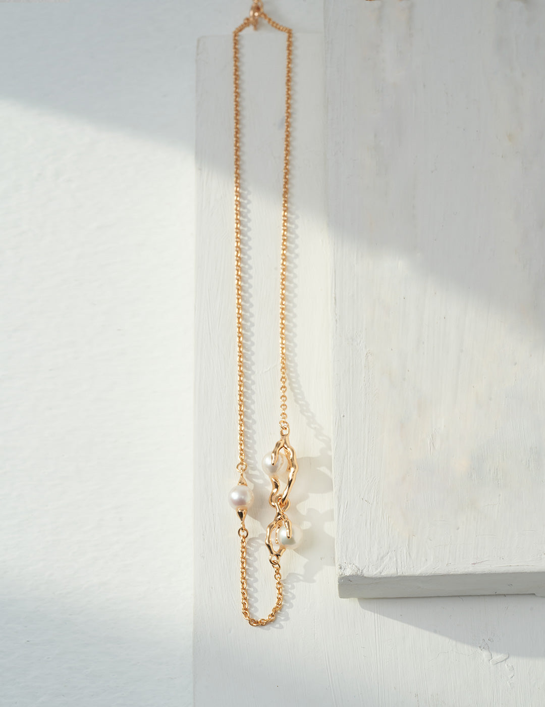 DRY NEST SERIES STERLING SILVER NECKLACE
